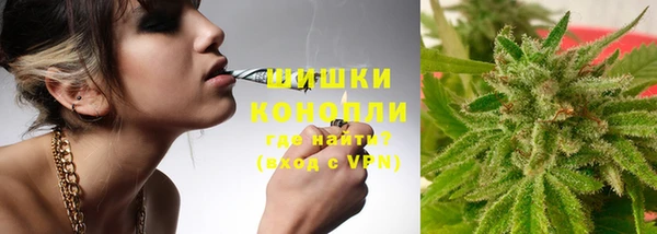 PSILOCYBIN Аркадак
