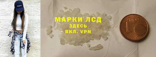 PSILOCYBIN Аркадак