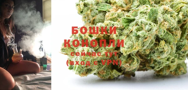 PSILOCYBIN Аркадак