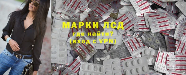 PSILOCYBIN Аркадак