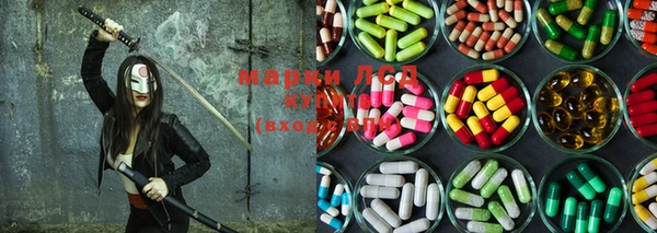 PSILOCYBIN Аркадак