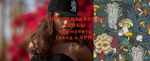 дмт Армянск
