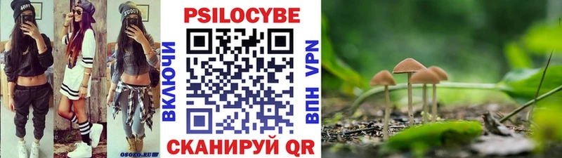 Галлюциногенные грибы прущие грибы  Купить  Белая Холуница 
